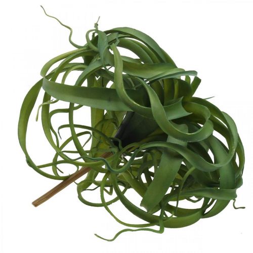 Prodotto Tillandsia Pianta verde artificiale da attaccare Large Green Ø40cm