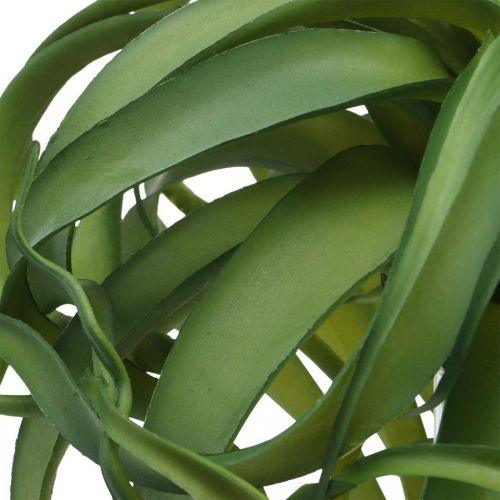 Tillandsia Pianta verde artificiale da attaccare Large Green Ø40cm