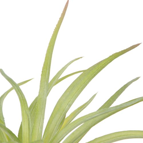 Prodotto Piante Artificiali Tillandsia Verde con Bastone Ø17cm 3 pz