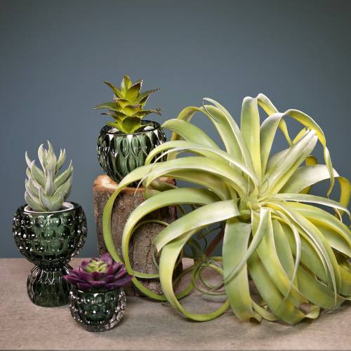 Floristik24 Tillandsia artificiale da attaccare pianta artificiale verde chiaro 30cm