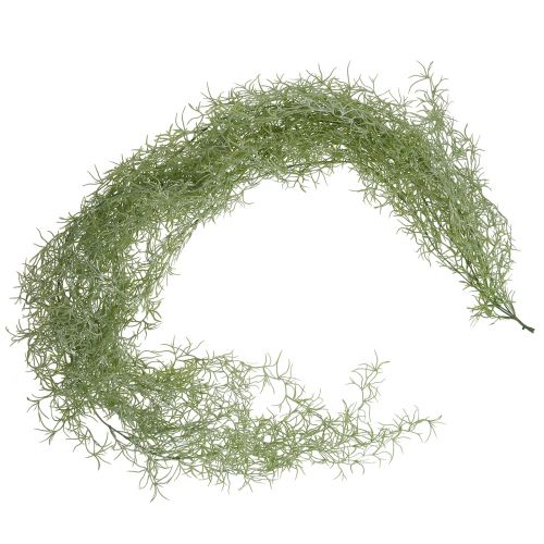 Floristik24 Appendiabiti Tillandsia verde 160 cm