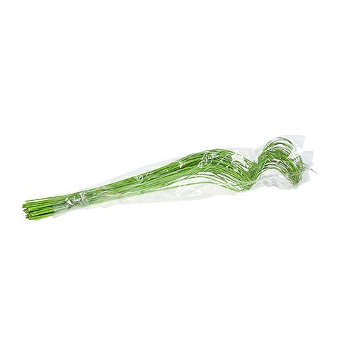 Floristik24 Ting Ting Ricci 60cm Verde 40 pz