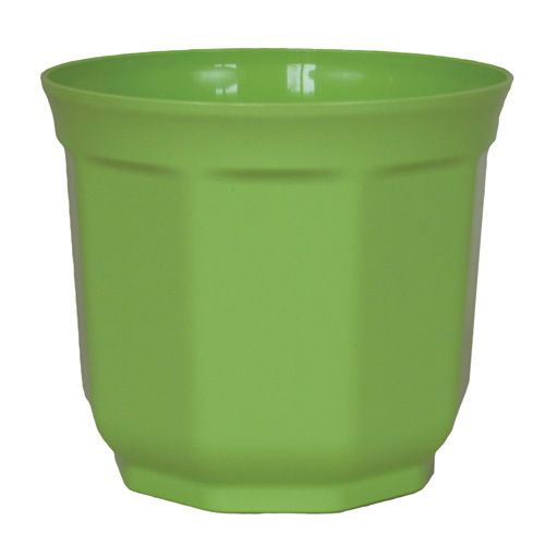 Floristik24 Tino fioriera verde lime
