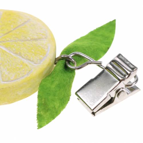 Floristik24 Peso tovaglia limone lime assortito 8 pezzi