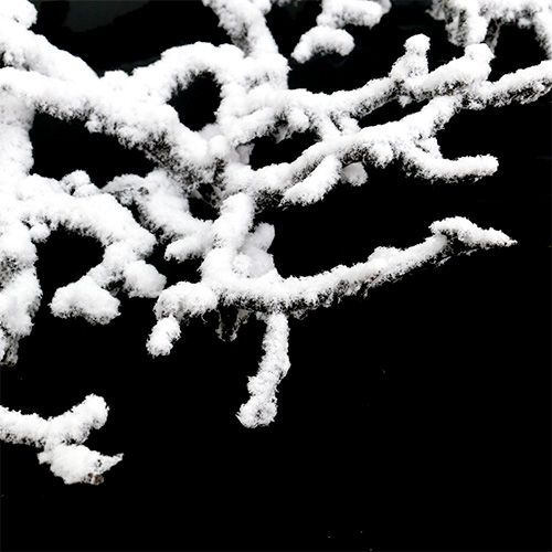 Prodotto Decorazione da tavolo rami con neve Ø40cm 1 pz