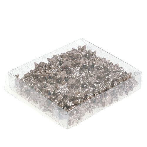 Floristik24 Star table top mica champagne 1,5cm 144pcs
