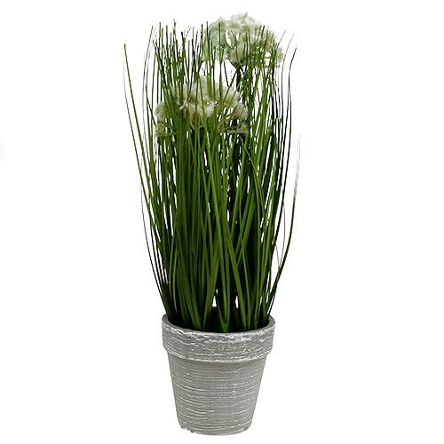 Floristik24 Decorazione da tavola decoro erba in vaso verde 30cm