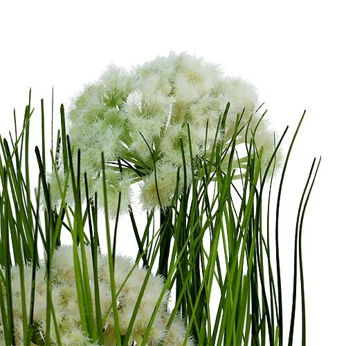 Floristik24 Decorazione da tavola decoro erba in vaso verde 30cm