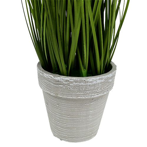 Floristik24 Decorazione da tavola decoro erba in vaso verde 30cm
