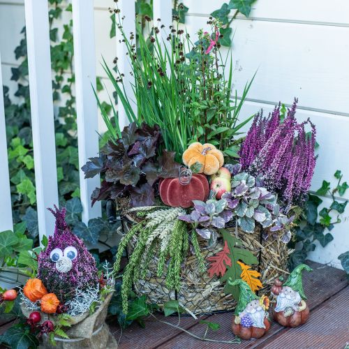Floristik24 Decorazione da tavola decorazione autunnale zucche arancione marrone Ø6,5 cm 9 pezzi
