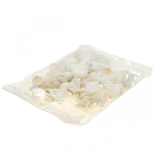 Floristik24 Decorazione da tavola marittima, gusci di lumaca vuoti bianco 4–5cm mix 500g