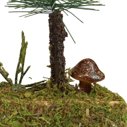 Floristik24 Decorazione da tavolo mini abeti base foresta di abete artificiale 30 cm