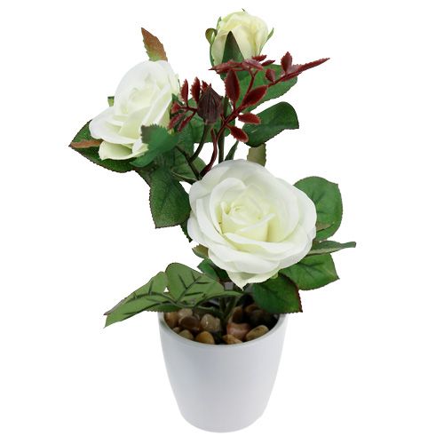 Floristik24 Decorazione da tavola Rosa nel vaso bianco 24 cm