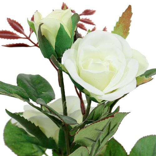 Floristik24 Decorazione da tavola Rosa nel vaso bianco 24 cm