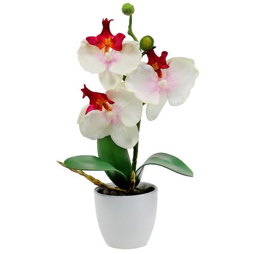Decorazione da tavola orchidea in vaso crema H29cm