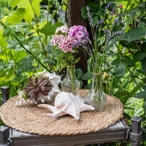 Floristik24 Tovaglietta rotonda Ø40cm tovaglietta naturale alga tovaglietta decorazione da tavola