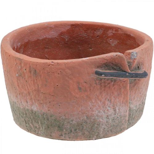 Floristik24 Vaso da fiori in cemento cachepot vaso in terracotta Ø18,5cm H10,5cm