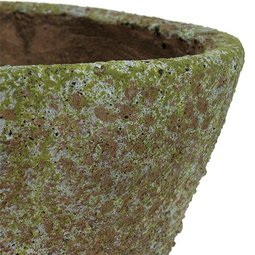 Floristik24 Vaso muschio grigio Ø16cm H13,5cm 1pz