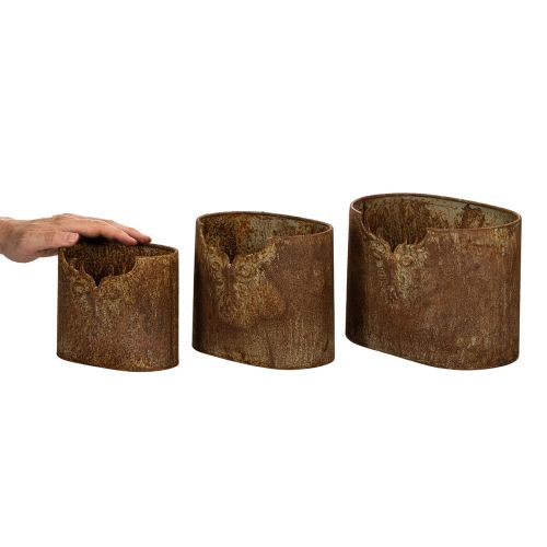 Set di 3 vasi da fiori ovali in metallo a forma di cervo, stile rustico, 24 cm. | Floristik24.it