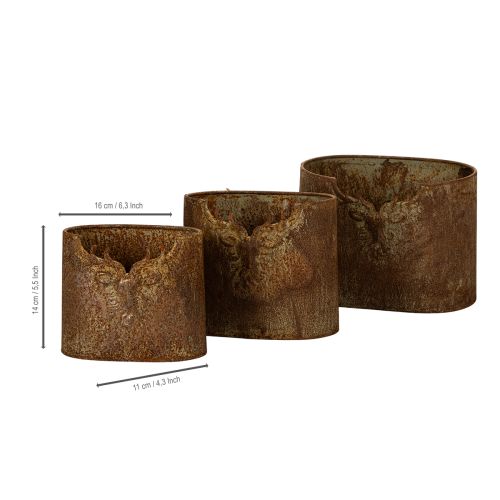 Set di 3 vasi da fiori ovali in metallo a forma di cervo, stile rustico, 24 cm. | Floristik24.it