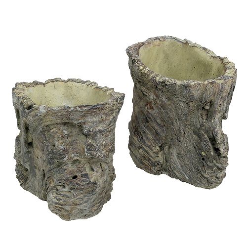 Floristik24 Vaso come tronco d&#39;albero Ø10,5 cm H12 cm 2 pezzi