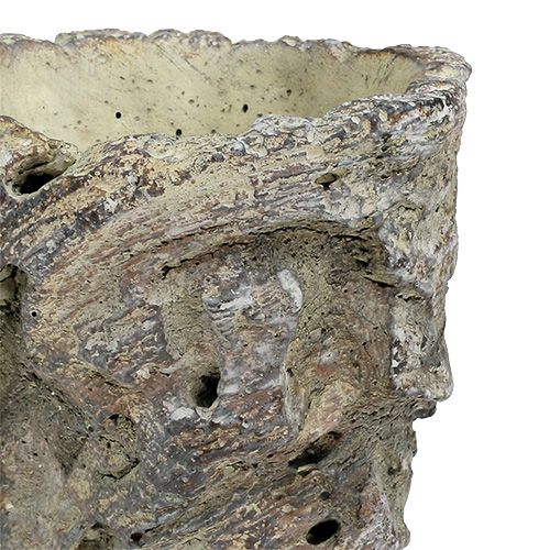 Floristik24 Vaso come tronco d&#39;albero Ø10,5 cm H12 cm 2 pezzi