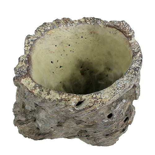 Floristik24 Vaso come tronco d&#39;albero Ø10,5 cm H12 cm 2 pezzi