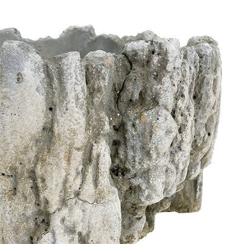 Floristik24 Vaso con corteccia 20,5 cm x 17 cm 1 pz