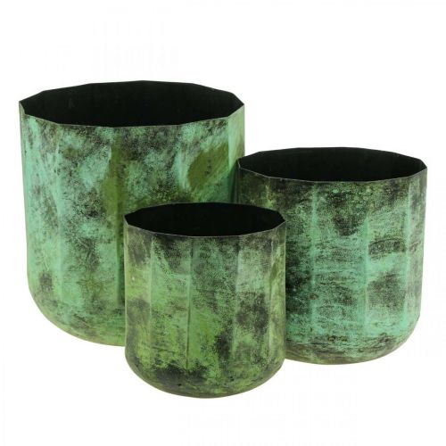 Floristik24 Fioriera vaso da fiori in metallo verde Ø26cm/20cm/16cm set di 3