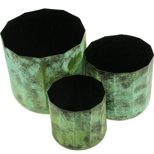 Floristik24 Fioriera vaso da fiori in metallo verde Ø26cm/20cm/16cm set di 3