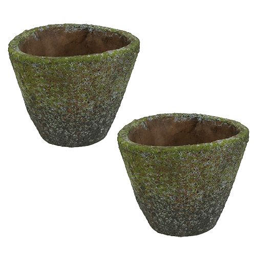 Floristik24 Vaso per piantare Ø12cm H11cm 2 pezzi