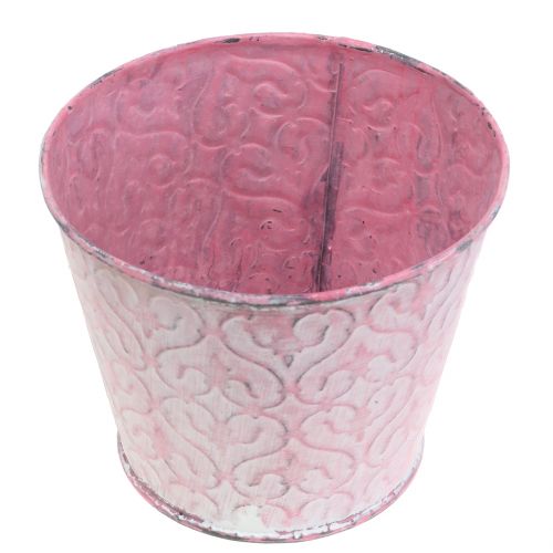 Floristik24 Piante zincate rosa, bianco lavato Ø13cm H10,5cm