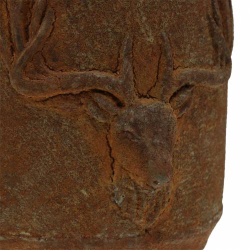 Floristik24 Portavasi patina ruggine con testa di cervo Ø13,5cm H13cm