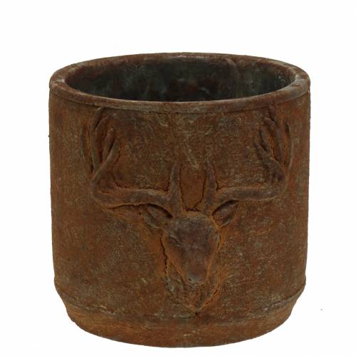 Floristik24 Portavasi patina ruggine con testa di cervo Ø13,5cm H13cm