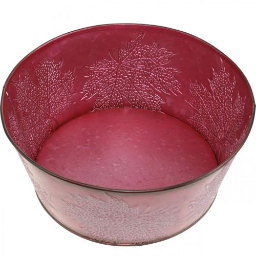 Prodotto Ciotola per piante per l&#39;autunno, contenitore in metallo con decorazione a foglia, vaso decorativo rosso vino Ø25cm H11cm