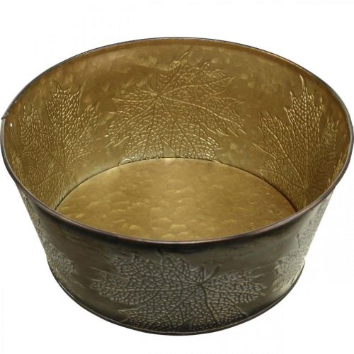 Floristik24 Ciotola autunnale, vaso in metallo con decorazione a foglia, vaso per piante dorato Ø25cm H10cm