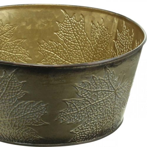 Floristik24 Ciotola autunnale, vaso in metallo con decorazione a foglia, vaso per piante dorato Ø25cm H10cm