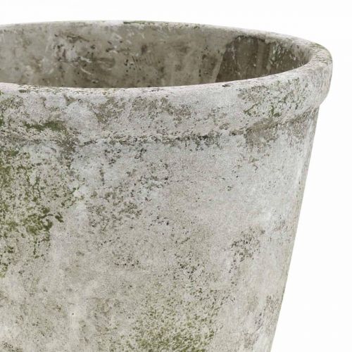 Floristik24 Fioriera effetto antico con patina in cemento Ø17,5 cm H14 cm
