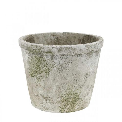 Floristik24 Fioriera effetto antico con patina in cemento Ø17,5 cm H14 cm