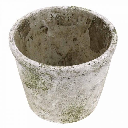 Floristik24 Fioriera effetto antico con patina in cemento Ø17,5 cm H14 cm