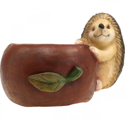 Prodotto Fioriera, mela con riccio, decoro autunnale, cachepot, ceramica Ø16cm H22cm W33cm