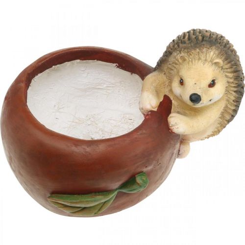 Prodotto Fioriera, mela con riccio, decoro autunnale, cachepot, ceramica Ø16cm H22cm W33cm