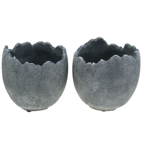 Floristik24 Portavaso in cemento guscio d&#39;uovo Ø14,5cm 15cm 2 pezzi