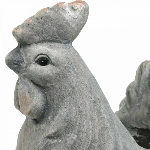 Pollo da piantare, decorazione pasquale, vaso per piante, molla, pollo decorativo effetto cemento H30 cm
