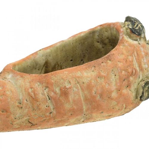 Prodotto Carota decorativa, decorazione in cemento per piantare, Pasqua, vaso per piante di carote, decorazione primaverile L28cm