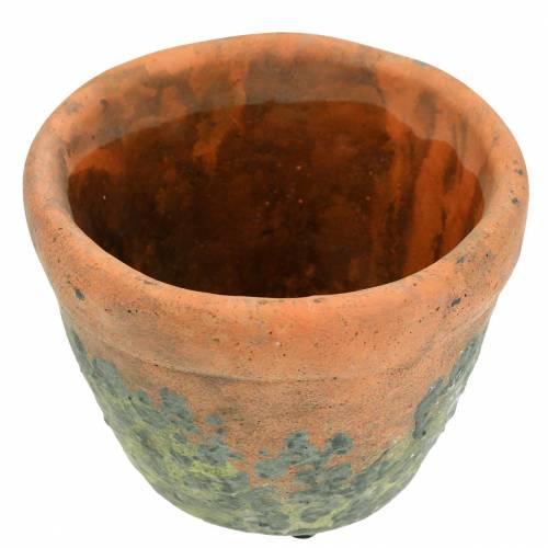 Floristik24 Portavaso portavaso vintage in argilla naturale Ø8,5cm H7cm 4pz
