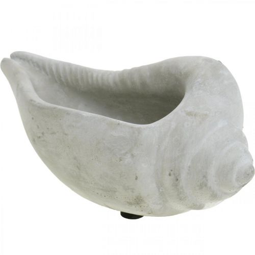 Floristik24 Vaso per piante a conchiglia, conchiglia per piante a conchiglia, decorazione in cemento marittimo L17cm H7.5cm 3 pezzi