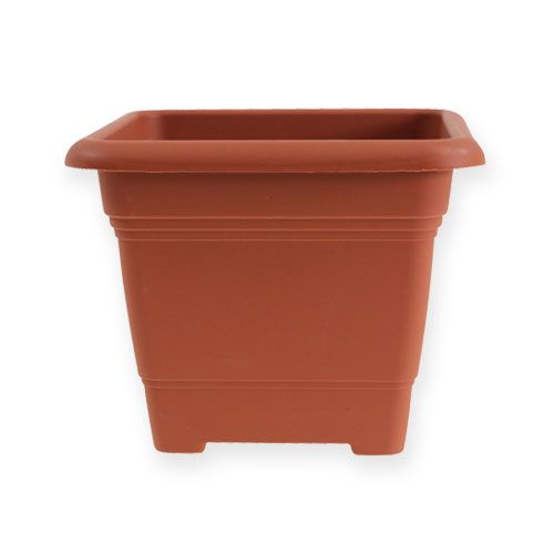 Floristik24 Vaso di fiori "Nora" 14cm x 14cm H11cm terracotta, 1pce
