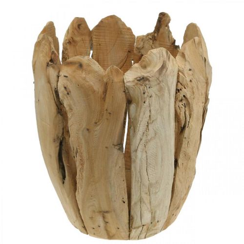 Floristik24 Portavaso in legno di Paulownia, cachepot, decoro in legno H32cm Ø28cm