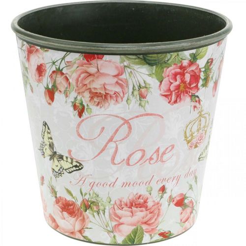 Prodotto Fioriera, secchio per piantare, fioriera con rosa H13cm Ø13,5cm